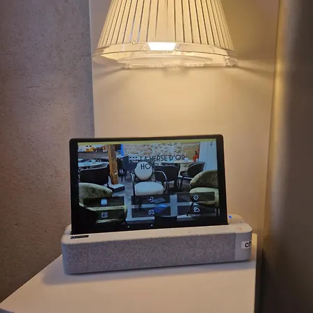 Hotel De La Herse D'or 3*